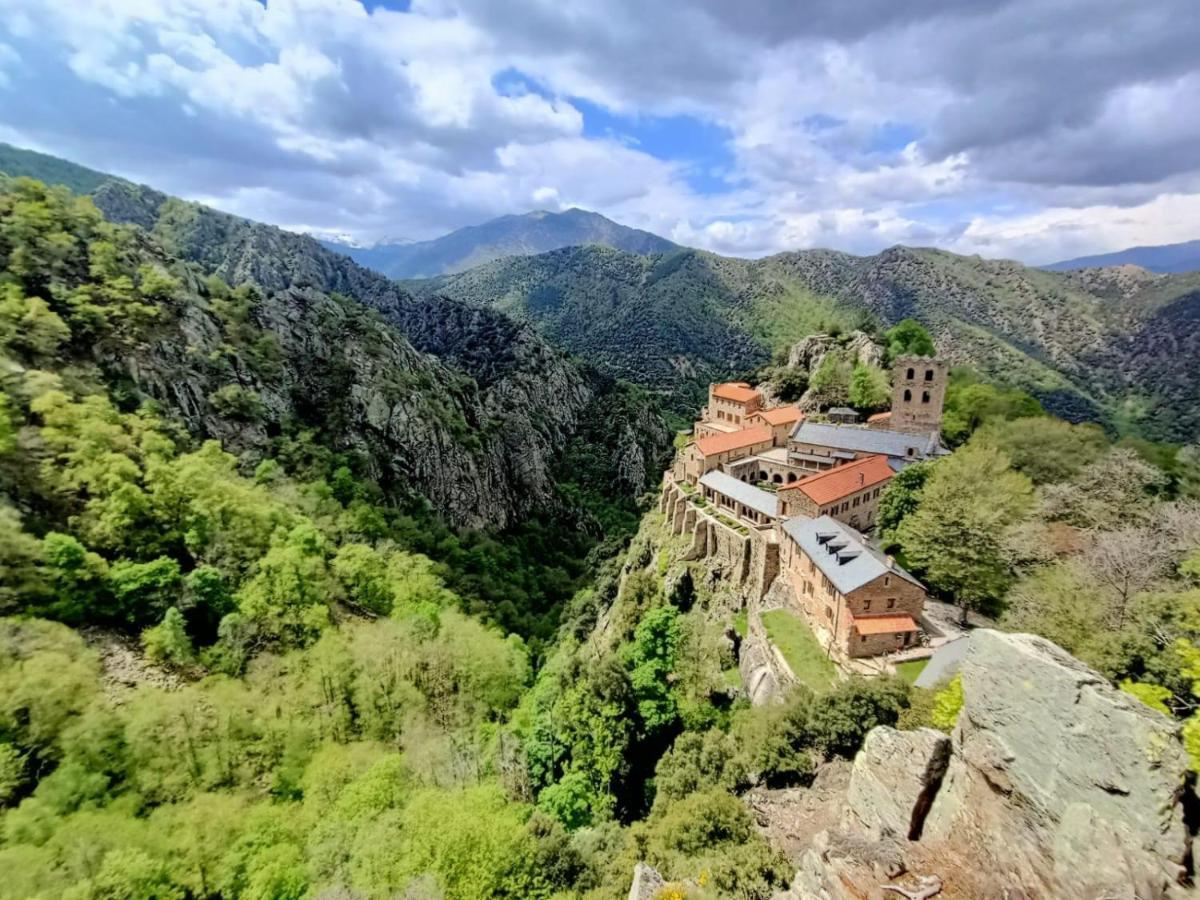 Le Mas Palegry Chambres D'Hotes Perpignan Exteriér fotografie