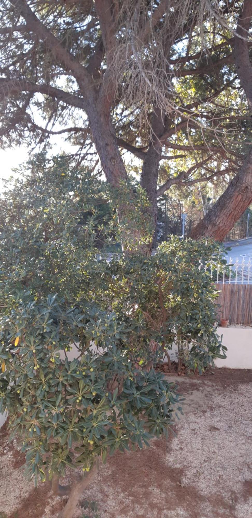 Le Mas Palegry Chambres D'Hotes Perpignan Exteriér fotografie